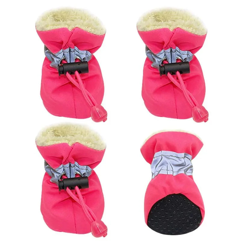 PawStep Booties