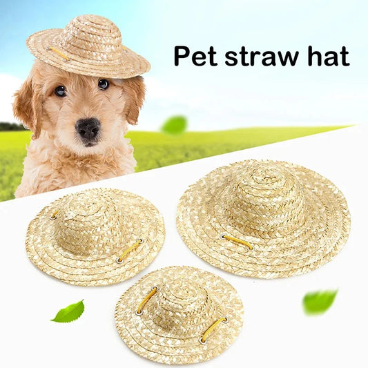 PawStraw Hat