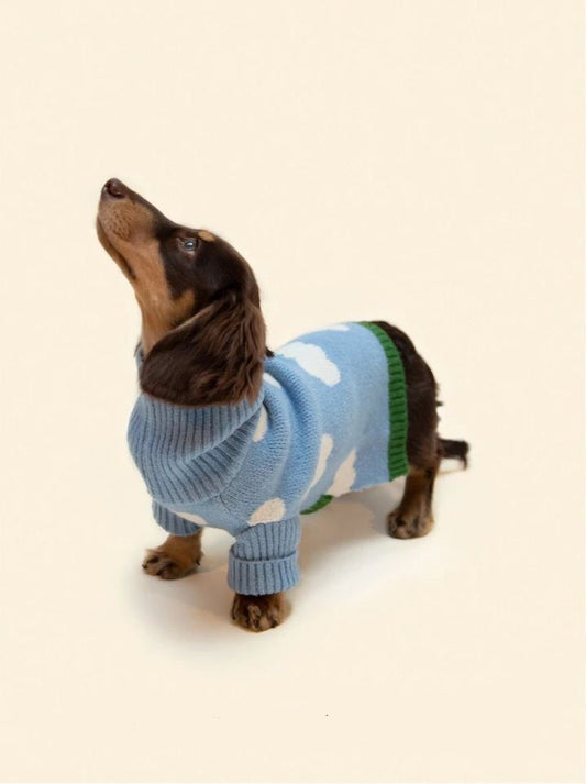 CloudyPaws Sweater