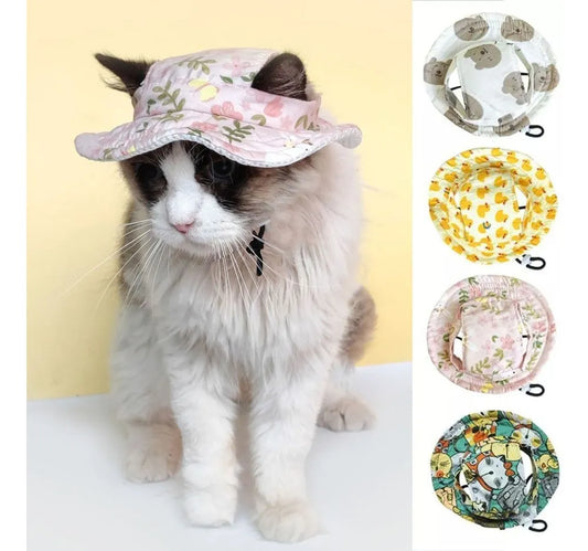 SunnyPaw